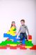 Конструктор ХочуКонструктор Великан LEGO 6238 (45 деталей) фото 1